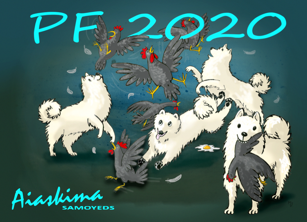 PF 2020