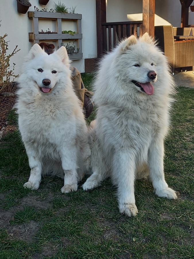 Ritchi a Nanuk