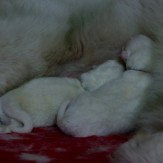 Our First Day