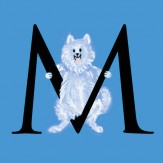 Litter M