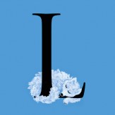 Litter L