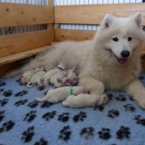 1st days