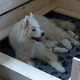 1st days