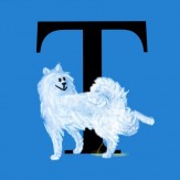 Litter T