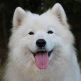 TERKA